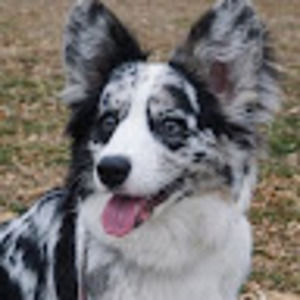 Meet your Posher, Regan